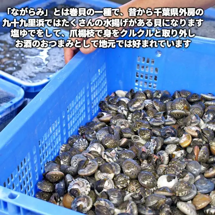 C01-E07 千葉県産ながらみ 2.5kg