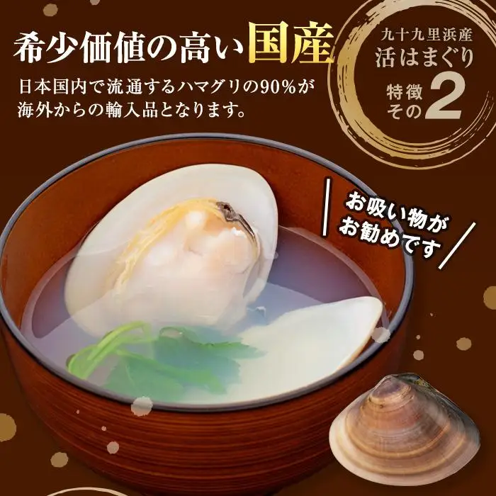 C01-E11 千葉県産活ハマグリ 1kg