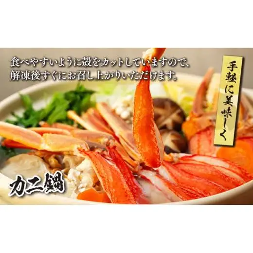 C01-E36 生本ズワイガニしゃぶしゃぶ 1.3kg