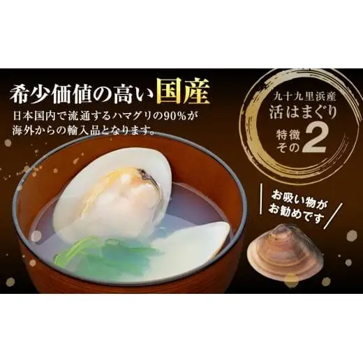 C01-J53 千葉県産活ハマグリ 1.5kg