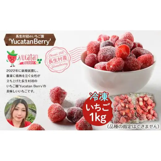 AA1-003 長生村産冷凍いちご1kg【2025年3月以降発送】