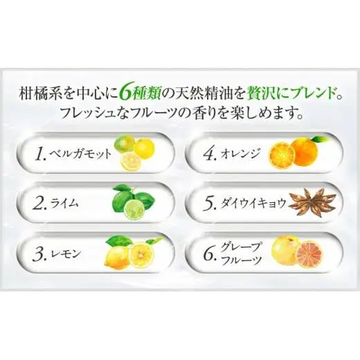 L02-011 ブリッサフルータル ノンシリコンシャンプー（500mL×1本、100mL×1本）