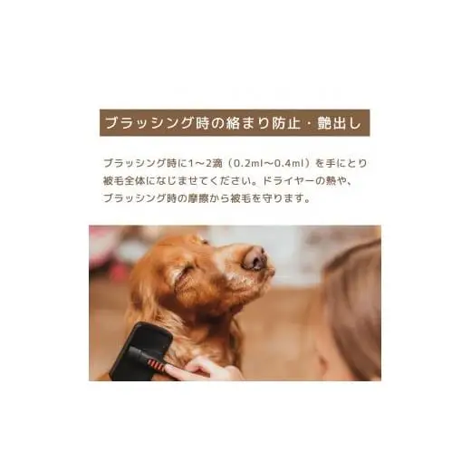 L01-020 ロッティシャイニーオイル（25mL×1本）