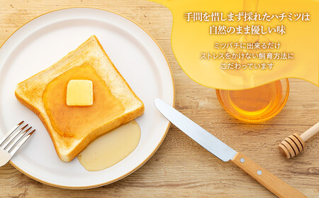 W00-002 長生村産純粋はちみつ（260g×2本）