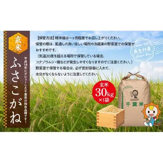 H04-B01 ふさこがね（玄米30kg）令和8年産
