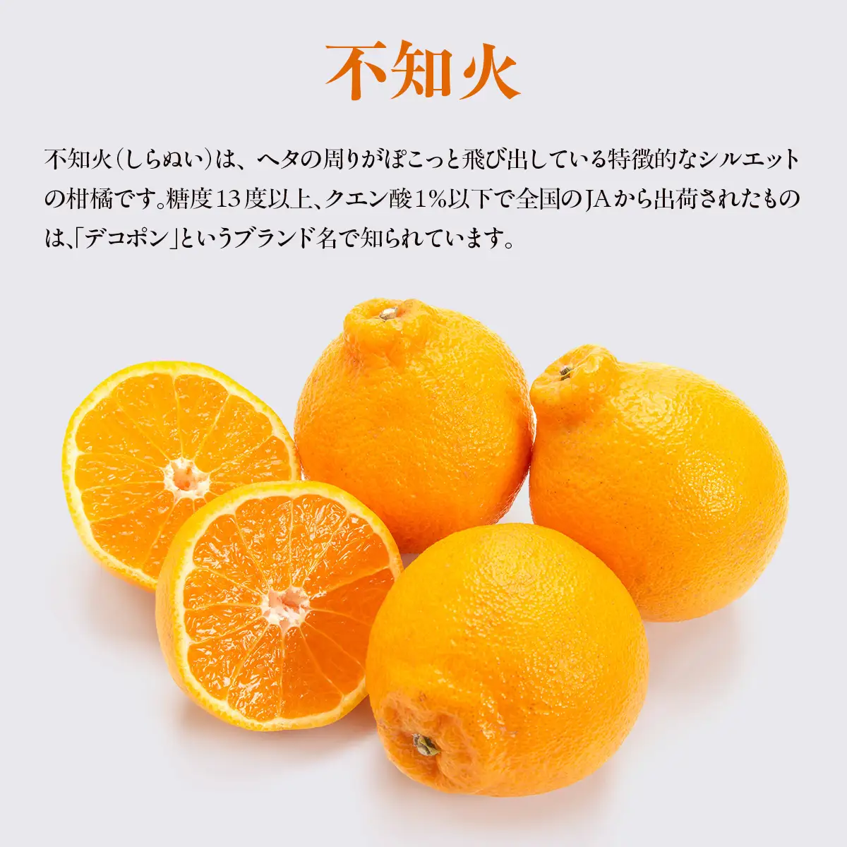 【先行予約】【数量限定】不知火5kg（石崎農園）※離島への配送不可 （2027年2月10日より順次発送予定） IKTAG002 