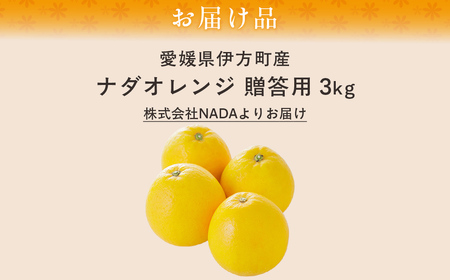 【農家直送】愛媛県産 ナダオレンジ 贈答用 3kg（2026年5月中旬より順次発送予定） IKTC005 