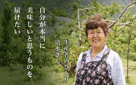 川中島白桃 約3kg 6～12玉 ［小布施屋］ 桃 白桃 もも モモ フルーツ 果物 令和8年産 【2026年8月下旬～9月上旬発送】［A-6］