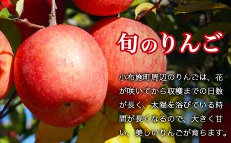 先行受付 シャインマスカット1房とりんご2玉 約1.3kg　詰め合わせ ［小布施屋］令和8年産 【2026年9月下旬頃～11月上旬頃まで順次発送】 ［A-307］