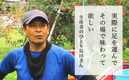 【訳あり】 秋映 約3kg 6～12玉 ［おぶせファーマーズ］ 不揃い 規格外 家庭用 果物 フルーツ りんご 林檎 リンゴ 長野県産 信州産 令和8年産 【2026年9月下旬～10月中旬発送】  ［FH-52］