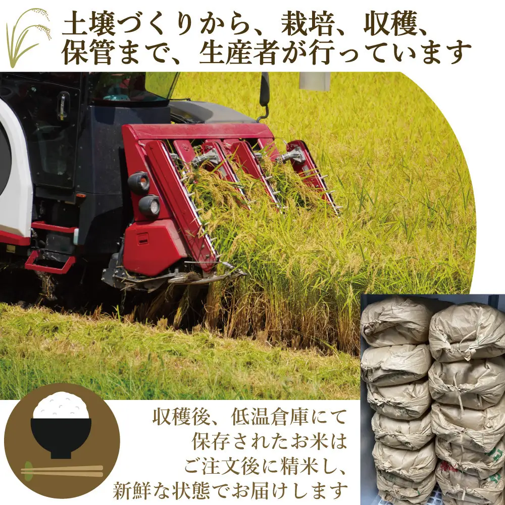 《令和7年産》福岡県大川市産 ブランド 米「 元気つくし 」 5kg | お米 米 こめ 精米 白米 ライス ブランド米 ごはん ご飯