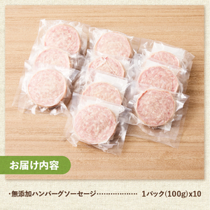 無添加ハンバーグソーセージ（100g×10パック入り）ウインナー  10パック バーベキュー キャンプ パーティー 手作り フランク オールポーク 豚肉100％ 天然腸 山梨県 白州 北杜市 [h038]