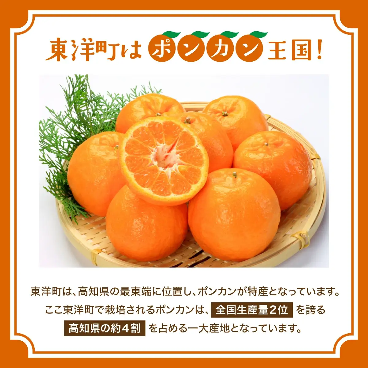 焼き菓子セット MT021