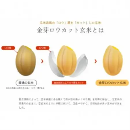 【毎月定期便】金芽ロウカット玄米4kg(2kg×2袋)ふっくら柔らかい美味しさ!全3回【4056805】