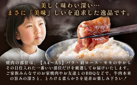 佐賀牛赤身モモ焼肉用500g