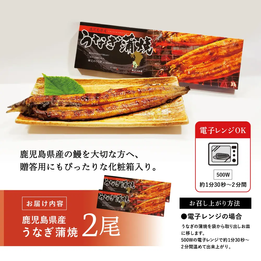 【鹿児島県産】活うなぎの蒲焼2尾  鰻 ウナギ うな重 うな丼 蒲焼 かば焼き 南さつま市