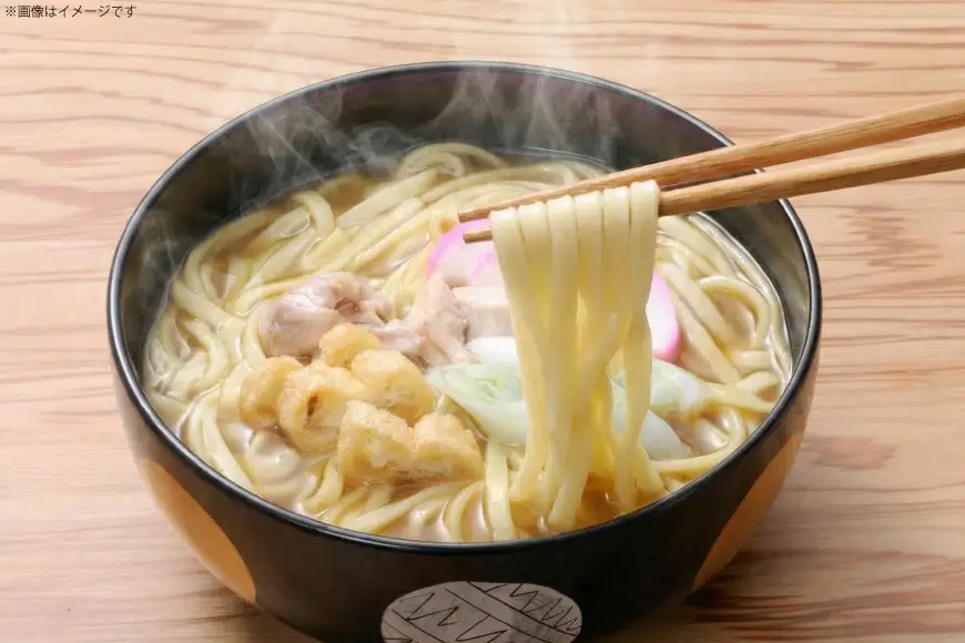 コーチン手折りカレーうどん 10食 [なごやきしめん亭 愛知県 江南市 ko23btu220005]