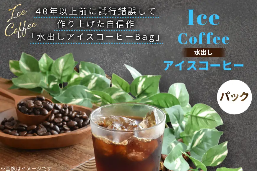 水出しアイスコーヒーBag 6パック×2袋（E） [珈琲専門店 タスコ珈琲店 愛知県 江南市 ko23btu420001]