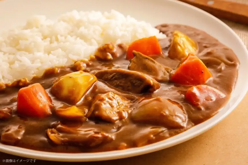 和風仕立ての「江南野菜カレー」 220g 10個 [江南商工会議所 愛知県 江南市 ko23btu330000]