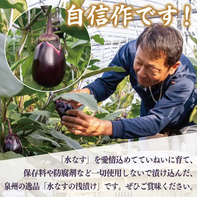 特選 俺の浅漬け（水なす浅漬け） 6個入り【新鮮 朝採り 泉佐野産 水ナス 水茄子】