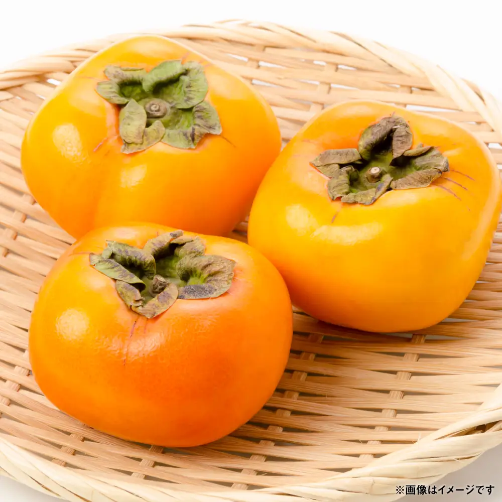 【先行予約】 太秋柿 約2kg (5～8玉) フルーツ 果物 くだもの 柿 カキ 旬 甘い おやつ 熊本県 八代市 【2026年10月上旬より順次発送】