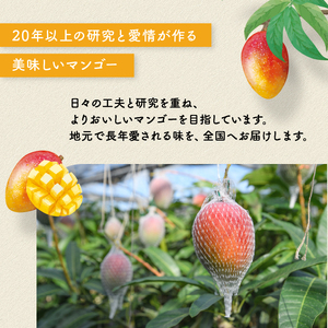 【2026年 発送】完熟 マンゴー 2玉 約1kg 花立山農業研究所 IB135-001 マンゴー フルーツ 果物