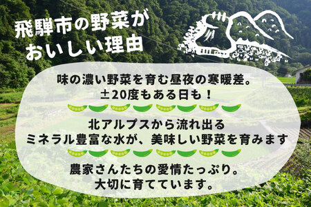 先行予約  野菜 スナップエンドウ 300g / 野菜 エンドウ　池田農園