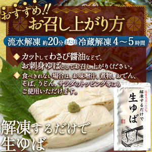 【定期3回】湯葉（生湯葉・切落し）生湯葉130g×2、切落し300g×1 | 定期便 3回 湯葉 生湯葉 イソフラボン 美と健康のサポート 植物性タンパク質 低カロリー 栃木県 那珂川町 