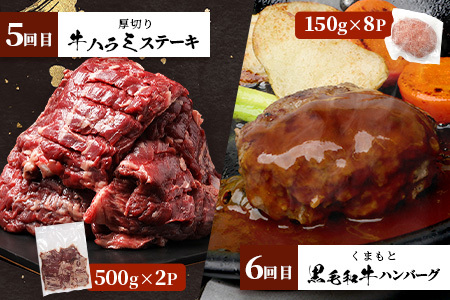 【定期便6回】 1kg×6回！ くまもと ビーフ 満喫 お楽しみ定期便【合計6.2kg】 熊本 あか牛 / 牛タン / 黒毛和牛 モモステーキ /あか牛 スジ / ハラミ / 黒毛和牛 ハンバーグ 092-0021
