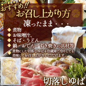 湯葉（生湯葉・切落し）生湯葉130g×5、切落し300g×2 |湯葉 生湯葉 イソフラボン 美と健康のサポート 植物性タンパク質 低カロリー 栃木県 那珂川町