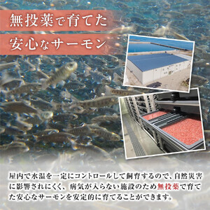 【数量限定】スモークサーモン とっとり 琴浦 グランサーモン 1kg（3～10パック）