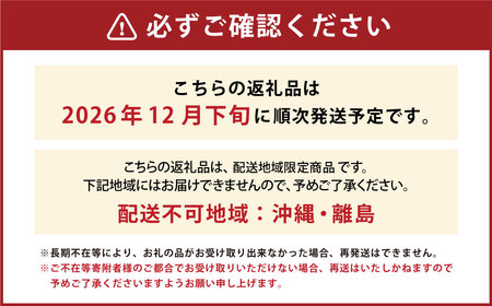 山形おきたま産冬のシャインマスカット （秀） 2～3房 （約1.3kg）シャインマスカット マスカット 葡萄 フルーツ 果物 果実 冷蔵 山形県 白鷹町 【2026年12月下旬順次発送予定】