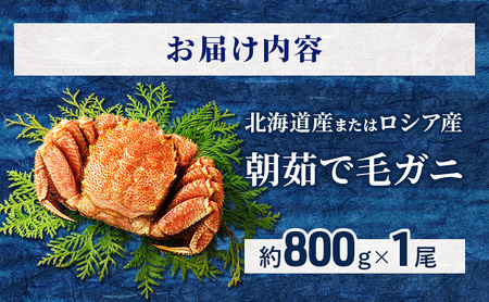 ［冷蔵便］茹でたて直送！北海道産 または ロシア産 朝茹で毛ガニ 約800g×1尾【 かに カニ 蟹 幕別町 北海道 毛蟹 毛ガニ 海鮮 魚介 海の幸 海産物 冷蔵 】