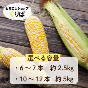 【先行予約】 とうもろこし 2.5㎏  とうもろこし ぐりぱ