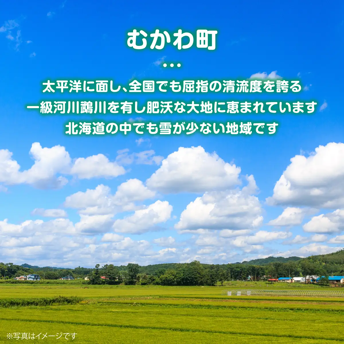 北海道むかわ町産羊『どさんこシープ』の薄切りスライス(250g) MKWAJ001