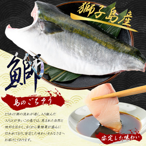 【先行予約】獅子島産 百年漁師の鰤 カマ付きフィーレ1パック (半身分) 【島のごちそう】gochi-7038R8