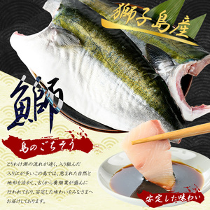 【先行予約】獅子島産 百年漁師の鰤 カマ付きフィーレ２パック (１匹分) 【島のごちそう】gochi-7039R8