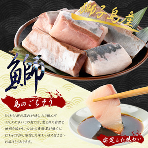 獅子島産 百年漁師の鰤 お刺身用サク (約150g×8パック) 【島のごちそう】gochi-7043R8