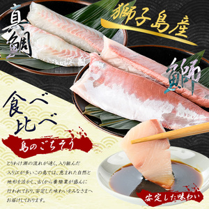 【先行予約】獅子島産 百年漁師の鰤と真鯛 食べ比べスキンレスロイン各2パック (半身分) 【島のごちそう】gochi-7058R8