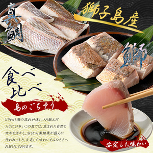 獅子島産 百年漁師の鰤 (約150g×4P) と真鯛 (約100g×6P) 炙り刺身サク食べ比べ【島のごちそう】gochi-7060R8