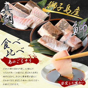 百年漁師の海産物 詰め合わせ【島のごちそう】gochi-7061R8