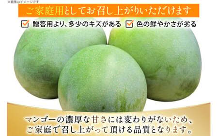 【期間限定発送】 家庭用 キーツ マンゴー 約 2kg (2～3玉) [伊江村マンゴー部会 沖縄県 伊江村 ie47bde320000]