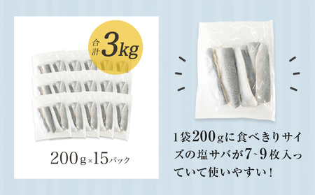 小さな 国産 塩サバ 3kg ( 200g × 15パック ) 冷凍 サバ 鯖 魚 青魚 塩さば 切り身 ご家庭用 焼き魚 焼魚 おかず お弁当 焼くだけ 簡単調理 サバ フィレ 鯖フィレ サバフィーレ 切身 宮城県 石巻 石巻市
