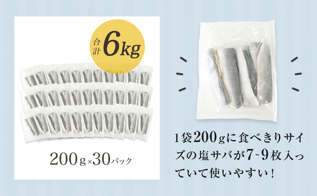 小さな 国産 塩サバ 6kg  ( 200g × 30パック ) 冷凍 サバ 鯖 魚 青魚 塩さば 切り身 ご家庭用 焼き魚 焼魚 おかず お弁当 焼くだけ 簡単調理 サバ フィレ 鯖フィレ サバフィーレ 切身 宮城県 石巻 石巻市