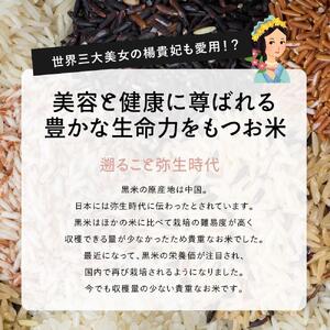 国産黒米 24kg(400g×60袋)