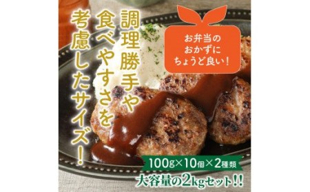 豊後牛と桜王豚のＷハンバーグ2kgセット_1485R