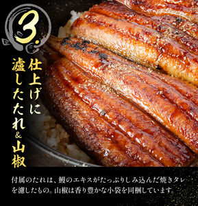 【3ヶ月定期便】鰻 国産鰻蒲焼 2パック 約 120g ×2 有限会社安井家《お申込み翌月から出荷》千葉県 我孫子市  鰻 うなぎ 蒲焼 丑の日 蒲焼き 冷蔵 タレ 山椒【配送不可地域あり】(離島)
