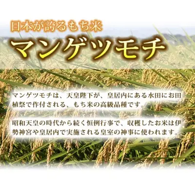  もち米 2kg 精米 マンゲツモチ 令和7年産 城里町産 2kg×1袋 お米 米 まんげつもち (AX008)