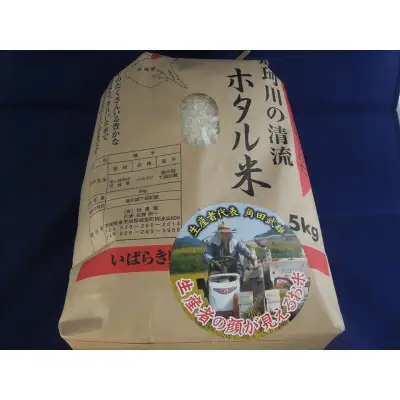  精米 5kg ほたる米【令和7年産】お米 米 ご飯 城里町 桂農産 ＼那珂川の清流ホタル米／ (AX009)