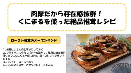国東の厳選肉厚カップ乾し椎茸 くにまる 特大1・小2_2547R